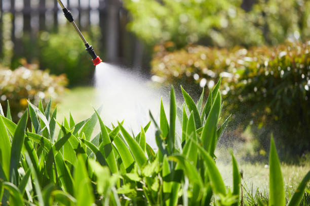 24/7 Emergency Cockroach Control experts in Longview, WA
