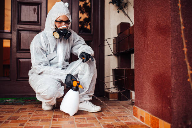 Reliable Cockroach Control contractor in Longview, WA by Nex Pest Control